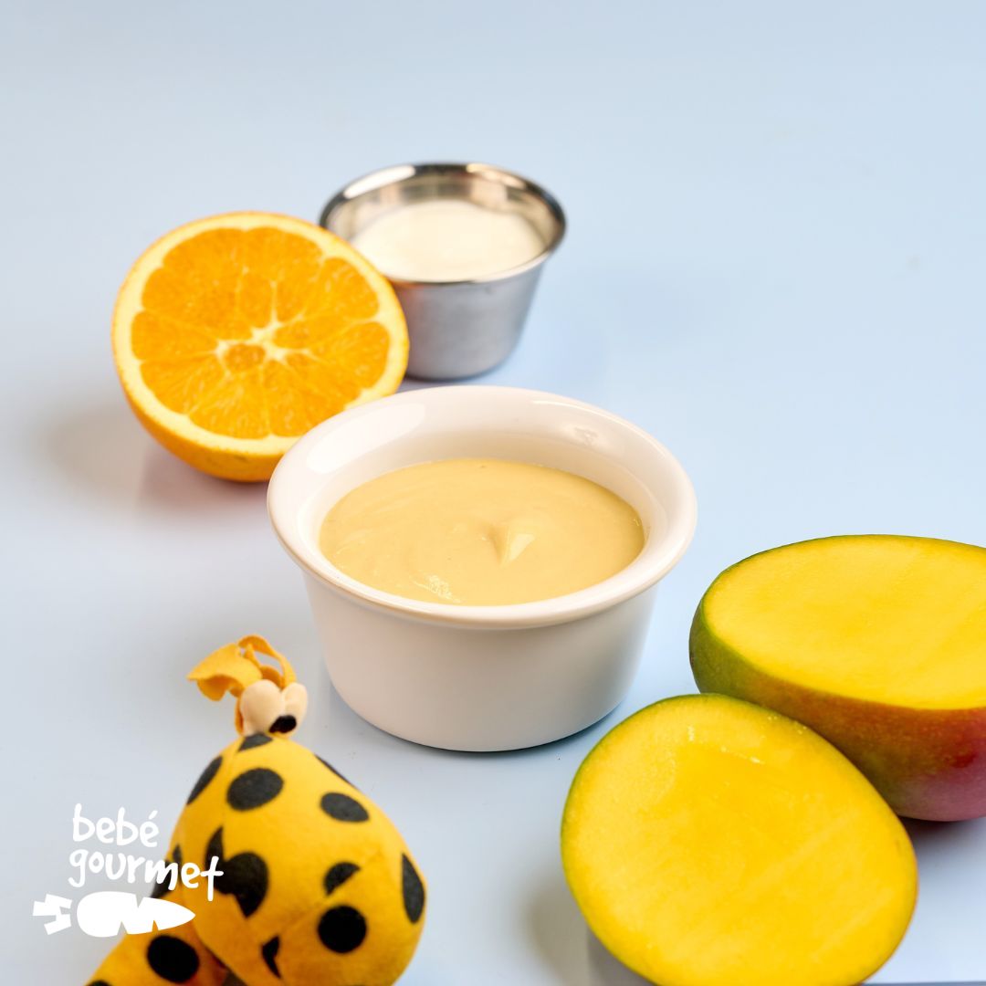 Puré de Manga, Iogurte e Bolacha (12+)