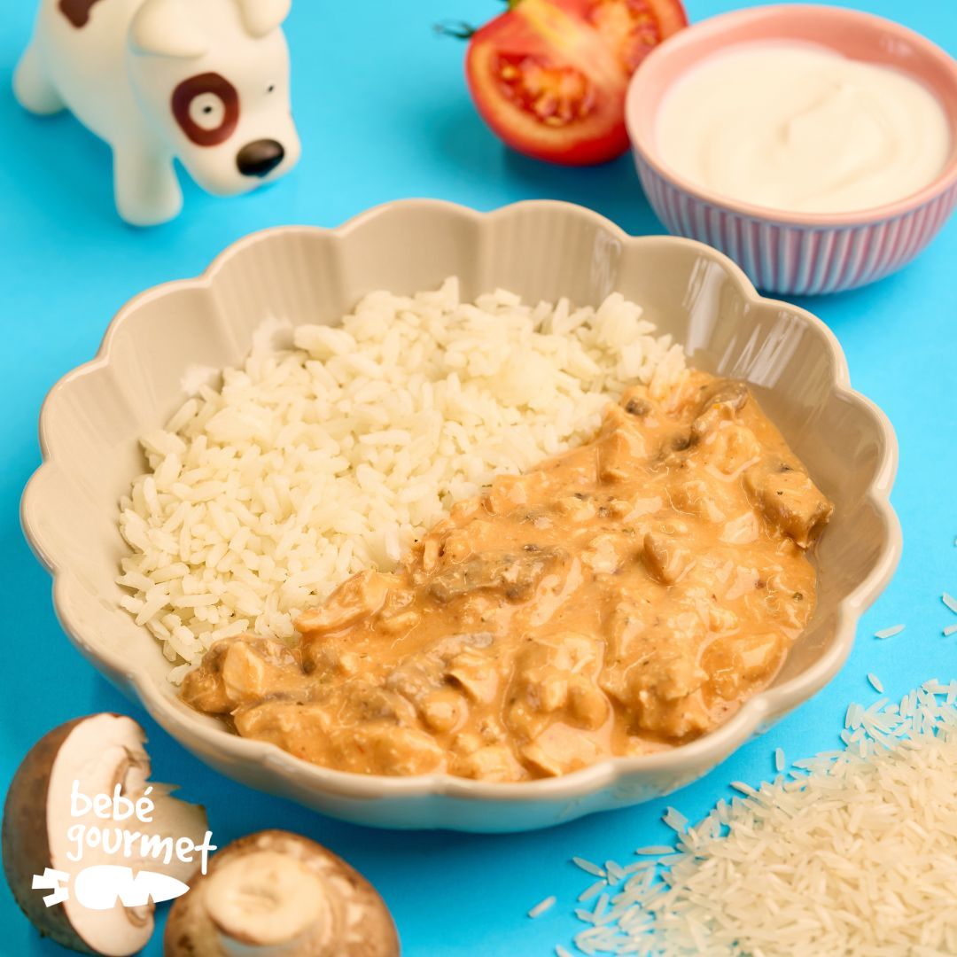 Strogonoff de Frango com Arroz (12+)
